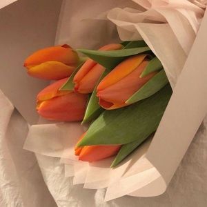 Meet your Posher, Sera